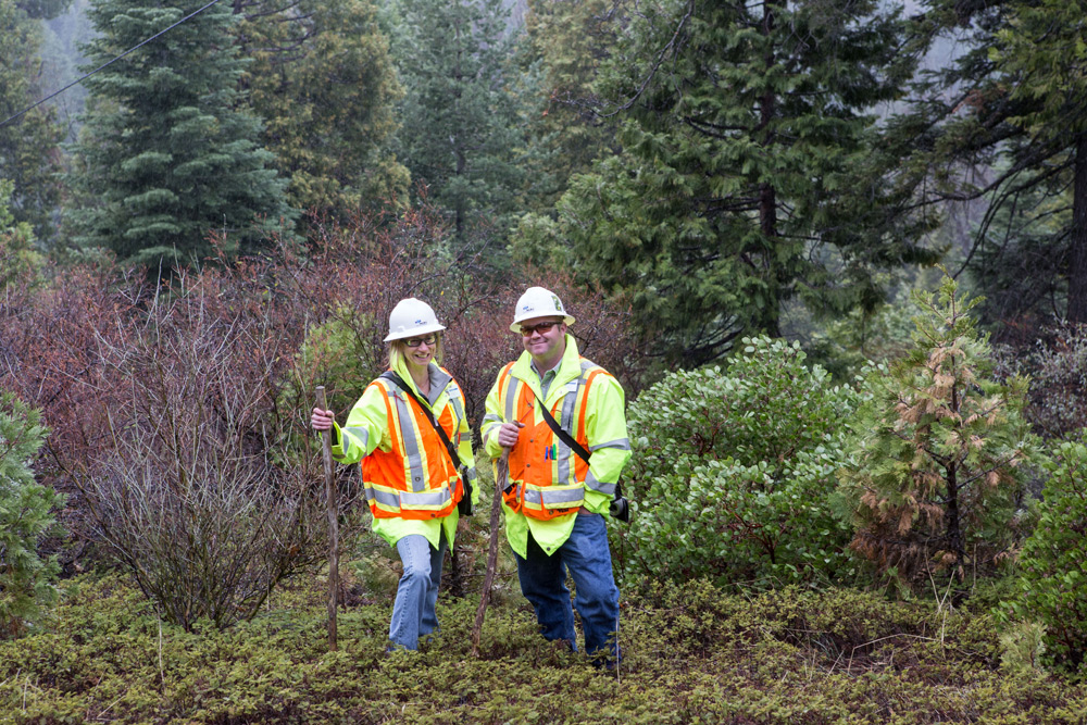 Contact Utility Vegetation Management Jobs ACRT Services