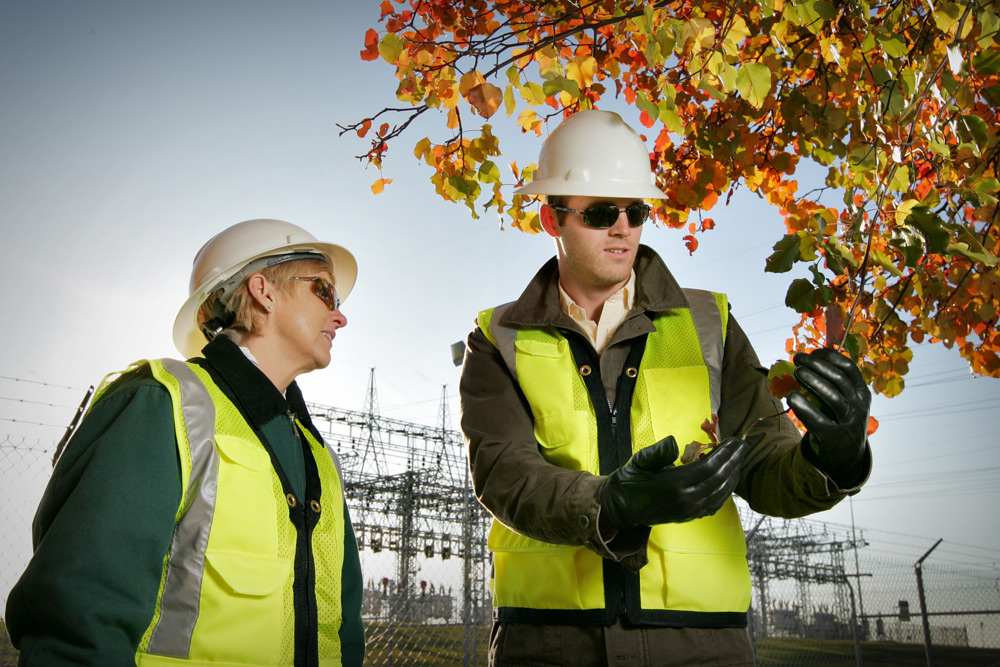 Our People Utility Vegetation Management Jobs ACRT Services