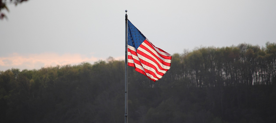 American flag blowing in the breeze in front of trees to represent Veterans Day.